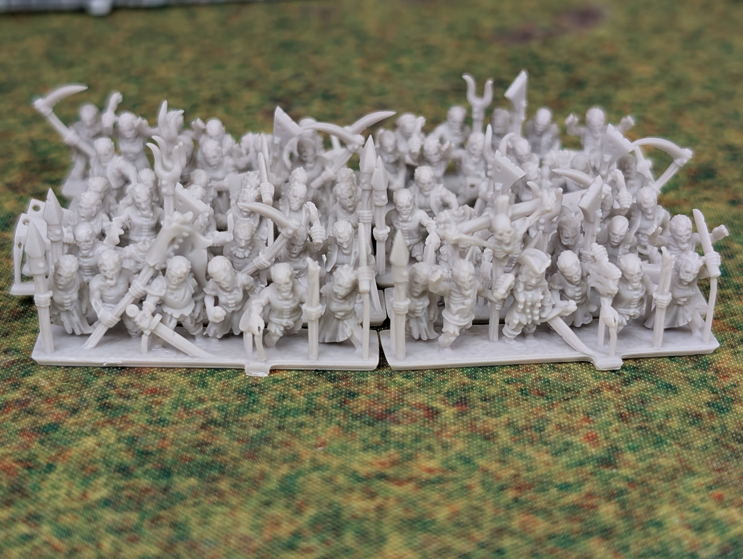 Undead Army - 10mm - By Forest Dragon